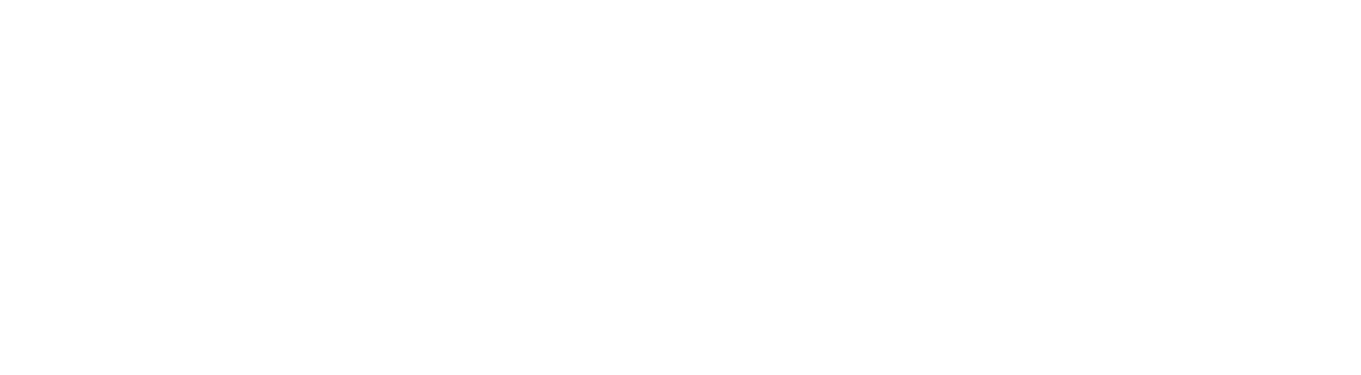 Trigion Logo